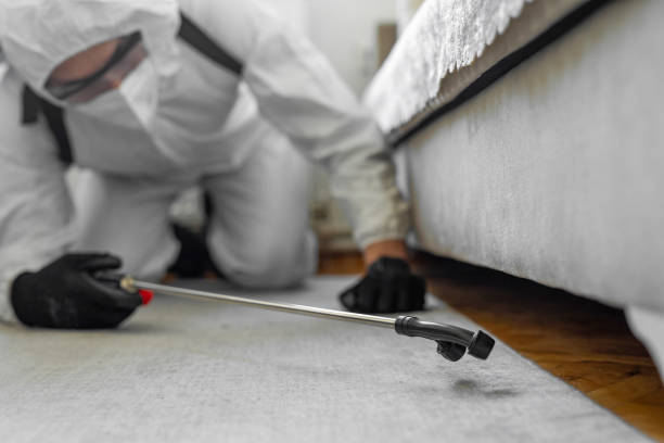 Professional Termite Control technician working in Three Rivers, TX