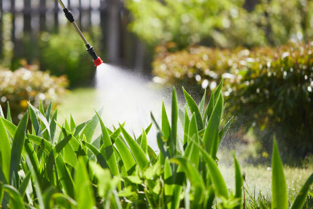 24/7 Emergency Termite Control experts in Three Rivers, TX